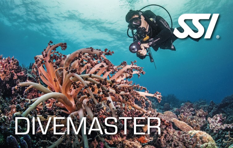 Image of SSI Divemaster certification card